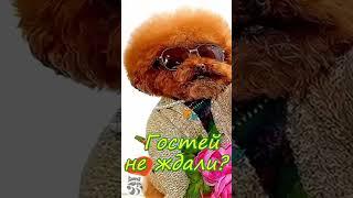 Хорошего дня!