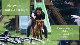 Moje pierwsze zawody nosework!