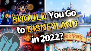 Should You Go to Disneyland in 2022?