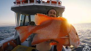 TURKEY BEACH- RED EMPEROR,NANNYGI,BARCHEEK TROUT