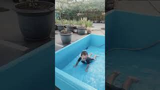 Berenang di kebun kelinci