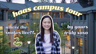 UC Berkeley Haas Campus Tour | Haas School of Business 