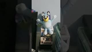 My own Bluey plush I got from Christmas a couple months ago.