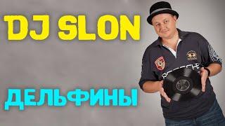 Dj Slon - Дельфины (все дельфины в ураган) | Аудио