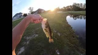 Fishin at Ian's