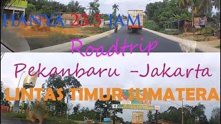 Roadtrip Pekanbaru Jakarta via Lintas Timur (Part 1)