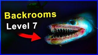 Backrooms level 7 explained... (Thalassophobia️)