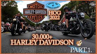 Portoroz Harley Davidson event 2022 #HOG Slovenia Part.1.