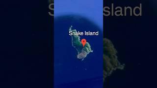 Snake Island #letsexplore #shorts