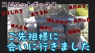 【スピリットボックス】お盆前に、ご先祖様に会いに行ったら嬉しい言葉が帰って来ました