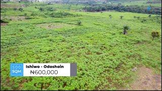 FARMLAND FOR SALE IN EPE, LAGOS: GREEN WEALTH FARM#2347062342456,#2349065302472