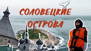 СОЛОВЕЦКИЕ ОСТРОВА | БЕЛУХИ | АНЗЕРСКИЕ СКИТЫ | СОЛОВЕЦКИЙ МОНАСТЫРЬ | КАНАЛЫ | ИНФА ТУРИСТАМ | ЦЕНЫ