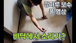 마루보수-새로 강마루를 시공 했는데 바닥에서 소리가 난다면? :  : 마루시공 문의  010-6344-6356