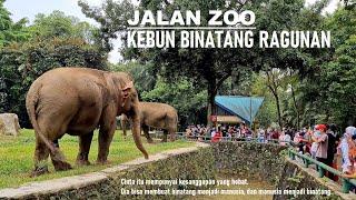 Walking Around  Taman Margasatwa Ragunan [Kebon Binatang/Bonbin] ~ Ragunan Zoo ~ Jakarta 4K