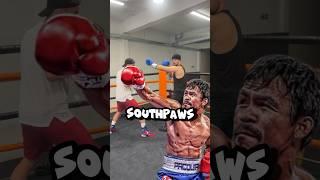 SOUTHPAWS  #tutorial #boxing #boxingtraining #boxingtutorial #learntobox #viral #shorts