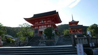 夏の清水寺