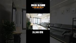 #야당동빌라매매 막힘없는 정남향 세대별창고 운정역 900미터