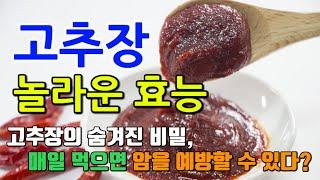 고추장의 놀라운 효능 8가지 & 부작용 / 고추장을 꾸준히 섭취하면 암 예방이 가능하다고?