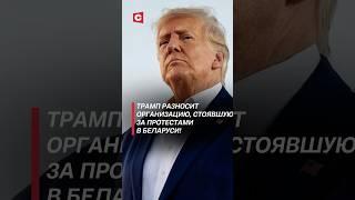Трамп разносит организацию, стоящую за протестами в Беларуси! #политика #протесты #usaid #трамп #сша
