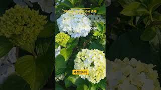 창업에 실패하는 이유#창업실패 #정법강의 #사람공부 #자영업현실 #창업비결