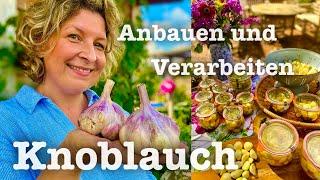 #47 Knoblauch  so erntest du riesige Knollen  leckere Rezepte für die Vorratskammer