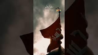 Imam Hussain (R.A) | Karbala status | Saqib Raza Mustafai #shorts #islam #saqibrazamustafai