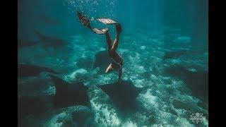 Freedive with a mantas in Flores. Padar Island. Manta point. Indonesia.