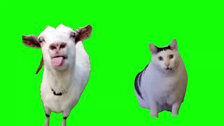 Goat talking to clueless Huh Cat meme