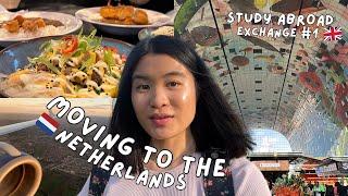 MOVING TO THE NETHERLANDS | study abroad exchange at erasmus uni