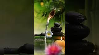 Âm Nhạc Thư Giãn Đầu Óc, Giải Tỏa Stress Hiệu quả | Healing Music, Meditation Music, Relaxing Music