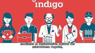 La Ciencia de Indigo Agriculture