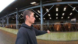 FARM TOUR! Welcome to North Wyke!