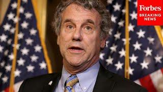 Sherrod Brown Leads Senate Banking Committee Hearing On Current Issues In Insurance