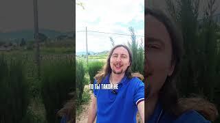 Переходи в мой тг-канал и присоединяйся к бесплатному вебинару! #гипнотерапия
