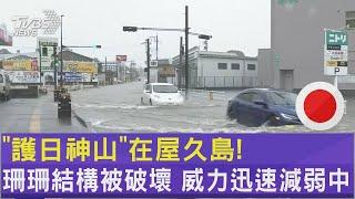 「護日神山」在屋久島! 珊珊結構被破壞 威力迅速減弱中｜TVBS新聞