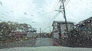 Rainy Day Drive 4K - Cherry Blossoms