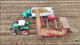 Digging Potatoes near Burley Idaho | Potato Harvest 2024