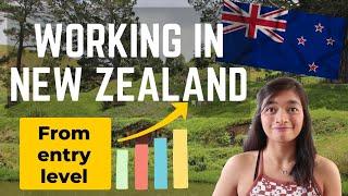 My work experience in New Zealand from 16 to 25 years old (What is it like to work here?)