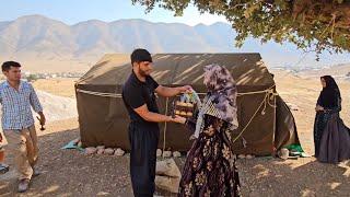 The building of love in the desert: cooperation and romance between Hossein and Jamila