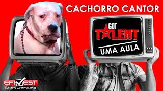 Um cachorro cantando Whitney Houston!