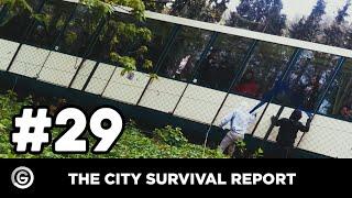 The City Survival Report #29