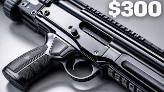 If I Only Have $300, What Should I Buy? The Best Gun Options!