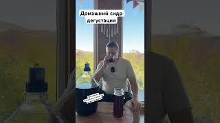 Домашний сидр дегустация