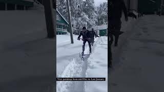 Patnitop  #patnitop #patnitophills #patnitophillstation #travel #jammu #snowfall #snow #winter