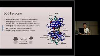 Shawn Hsueh - Frontiers in Biophysics 2022