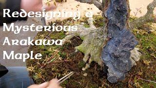 Redesigning a mysterious Arakawa Maple - Greenwood Bonsai