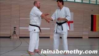 Practical Kata Bunkai: Basic Arm-Lock Flow Drill