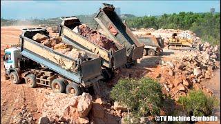 Best Operator Project Filling Rocks Stronger Dozer With 12 Wheels Dump Truck Spreading Hug Stone