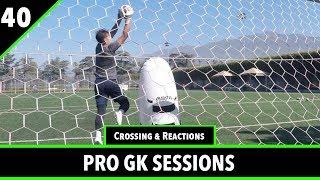 Crossing & Reaction Training | Pro Gk Sessions