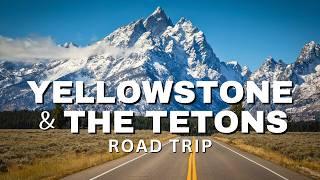 Epic 6-Day Road Trip Through Yellowstone & Grand Teton National Parks!